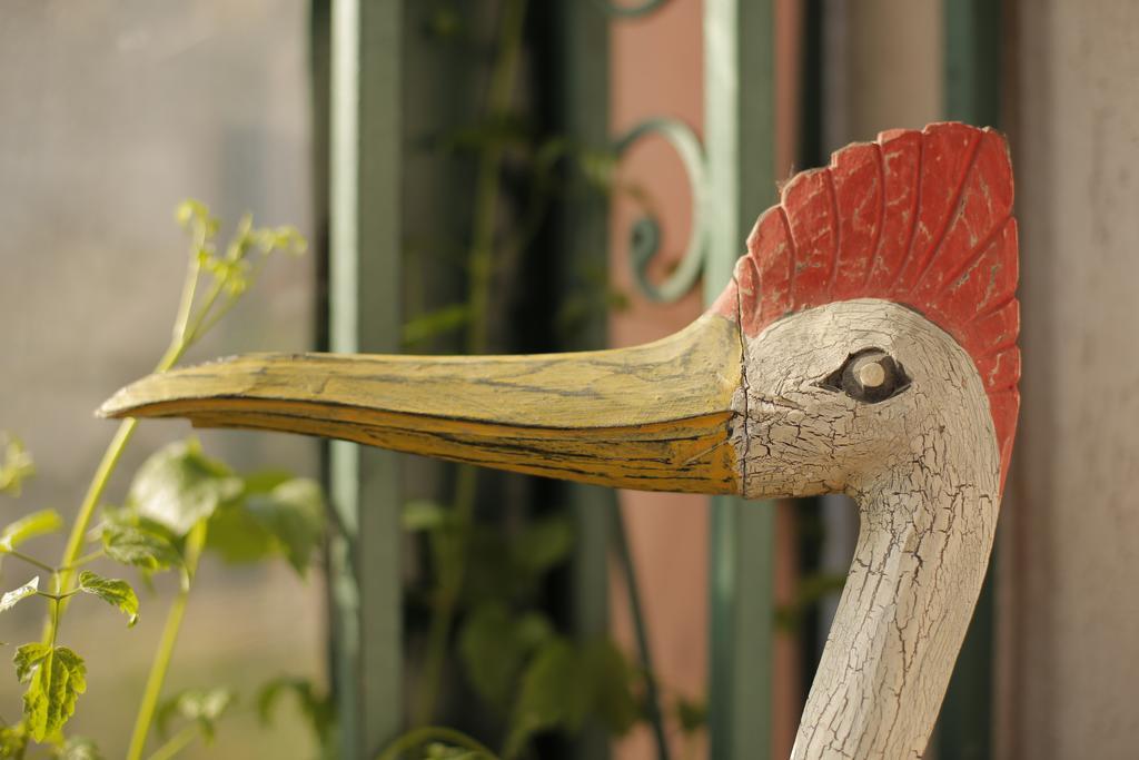 Bed & Breakfast Garden40 Belgrade Luaran gambar